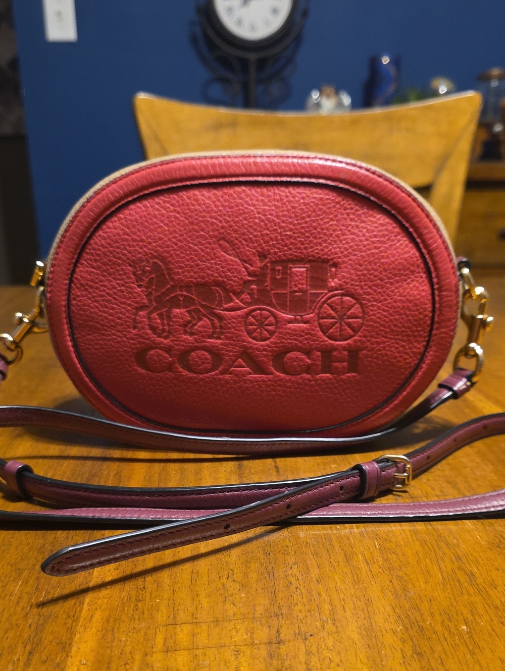 Coach Horse and Carriage Oval Crossbody Camera Bag